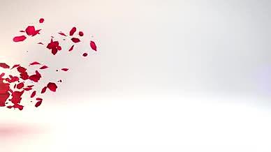 绚丽浪漫玫瑰花瓣飘逸文字展示视频的预览图